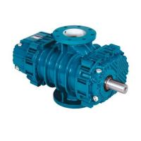 Воздуходувка роторная промышленная Robuschi ROBOX RBS 25